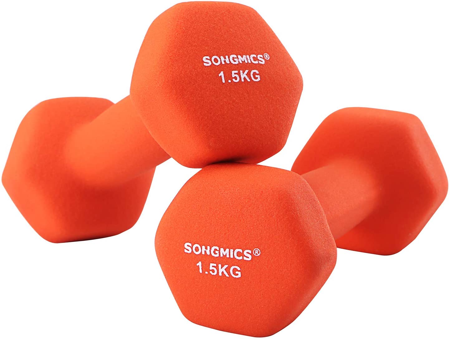 Dumbbell 2 X Håndvægte fra Songmics